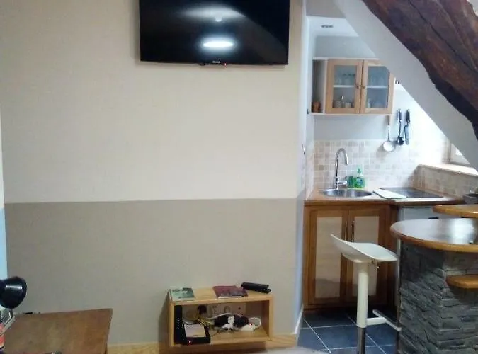 La Musette Apartament Dijon